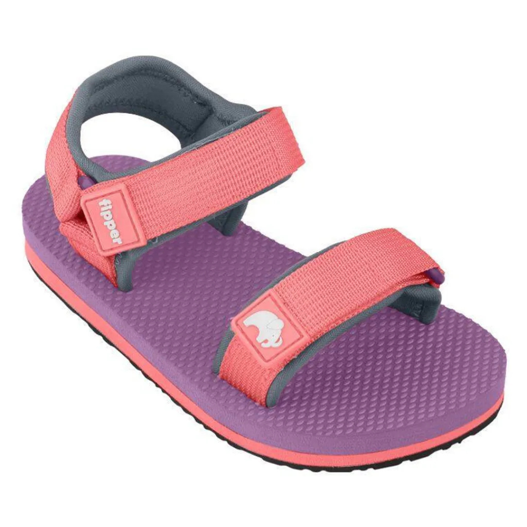 Fipper Champ - Purple / Pink